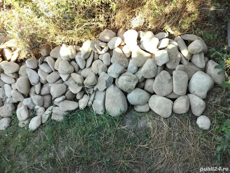 Teren de 1500 mp, în Săbăreni