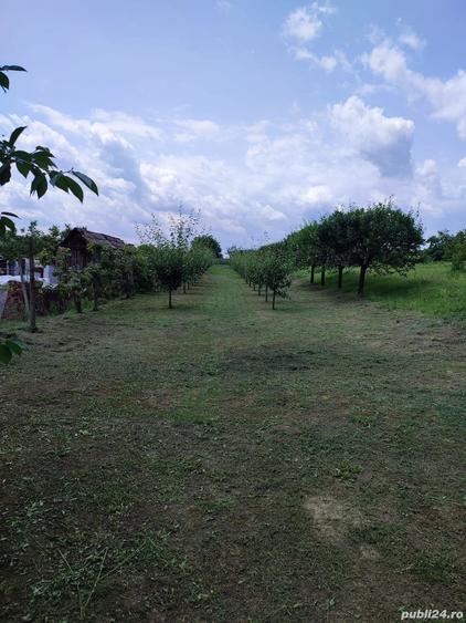 Teren de 1400 mp, în Jidvei