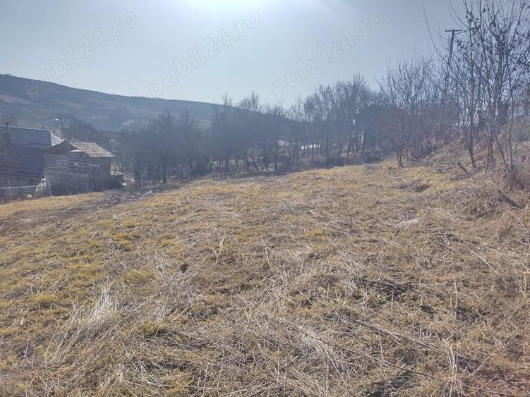Teren în Central