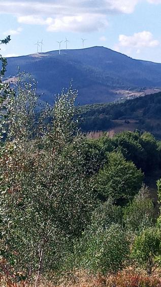 Teren de 1200 mp, în Central