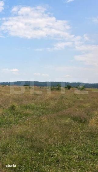 Teren de 1000 mp, în Sâmbăta de Sus