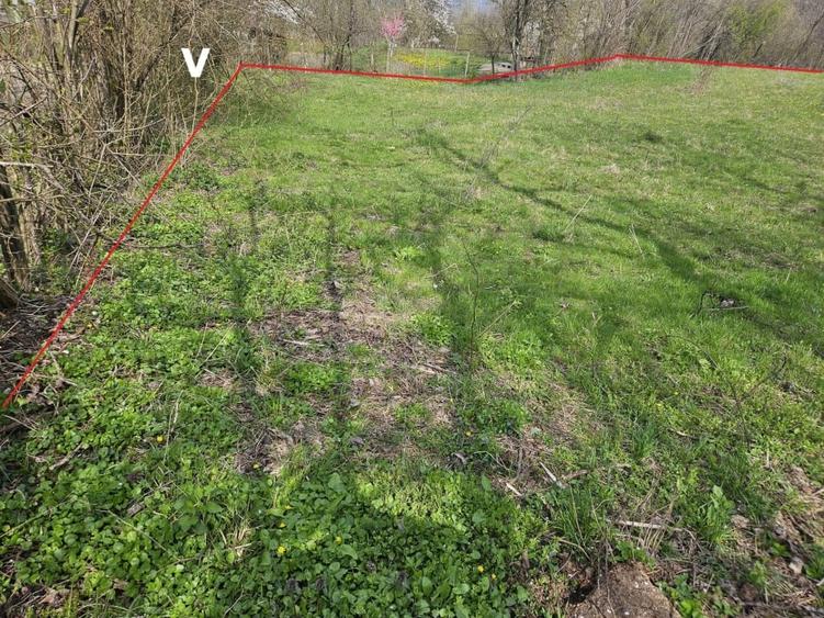 Teren Construcții intravilan de 2640 mp, în Prăjani