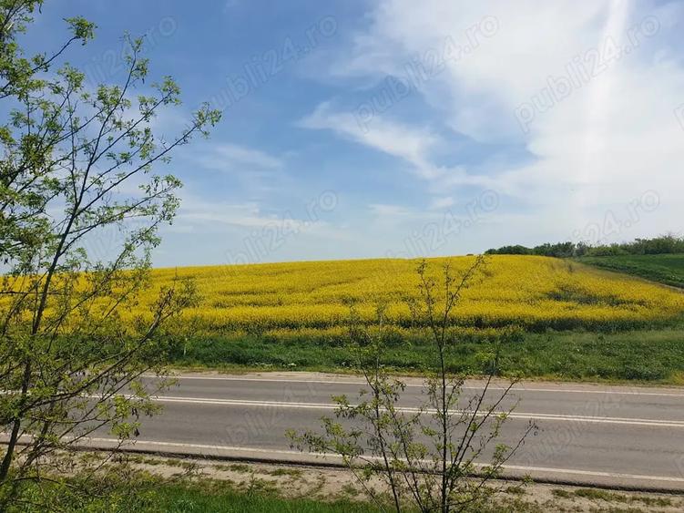 Teren de 32400 mp, în Valea Plopilor