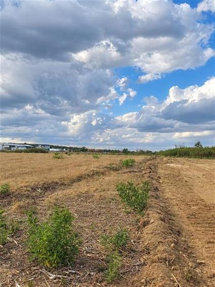 Teren agricol extravilan de 7700 mp, în Periferie