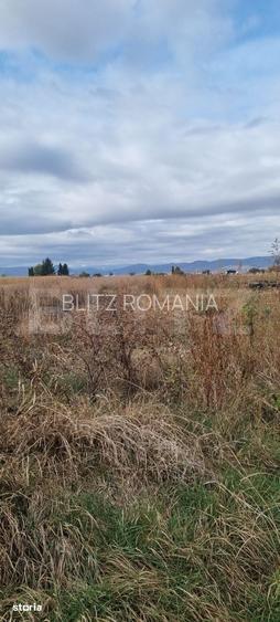 Casa 3 camere,curte,gradina si teren