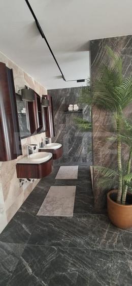 Penthouse cu 8 camere decomandat, mobilat în Frumoasa