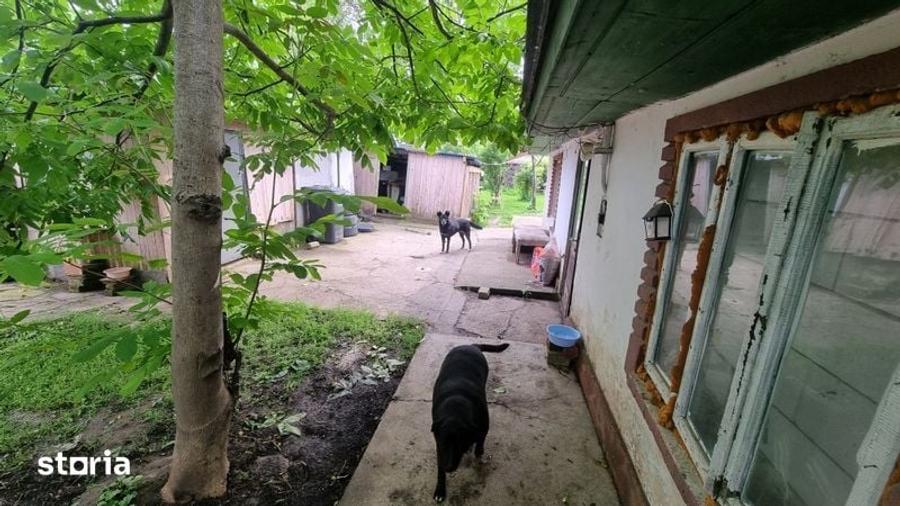 Teren de 400 mp, în Central
