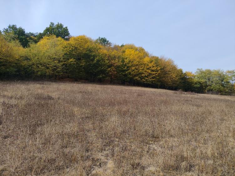 Teren agricol extravilan de 7043 mp, în Mihăești