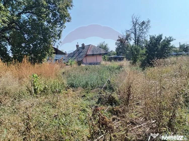 Casă cu 4 camere cu Teren 3370 Mp în Central
