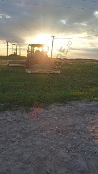 Teren extravilan de 40000 mp, în Cenad