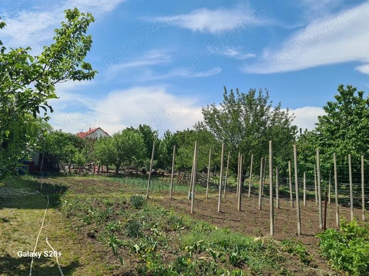 casa + teren 1500 mp Catamara?ti Deal Boto?ani - 5