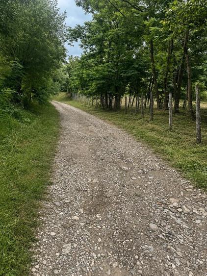 Teren de 3700 mp, în Corbșori