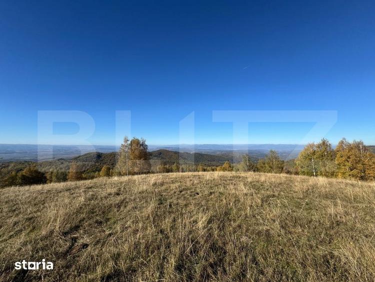 Teren extravilan 54.722 mp in Tarsa - 1