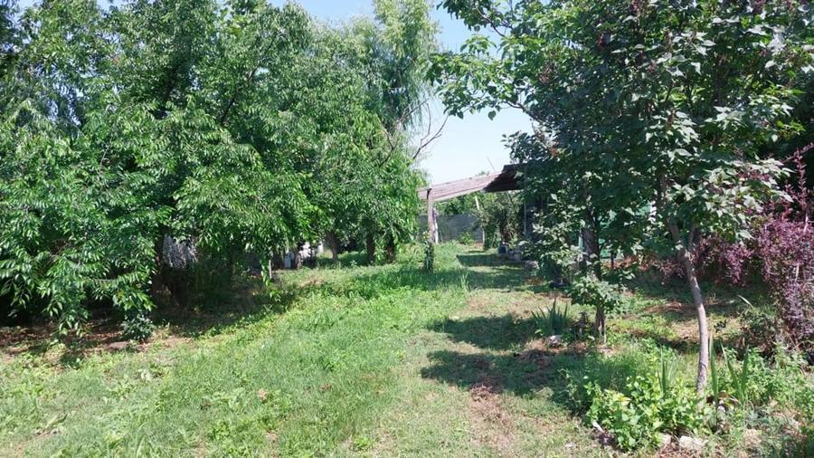Teren de 1500 mp, în Frumușani
