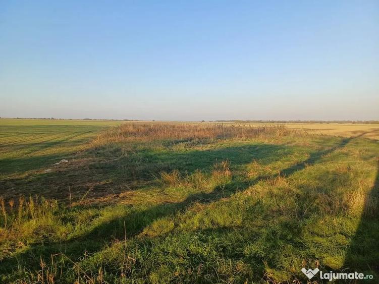 Teren de 5300 mp, în Gruiu