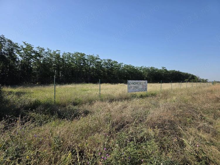 Teren de 3641 mp, în Băjani
