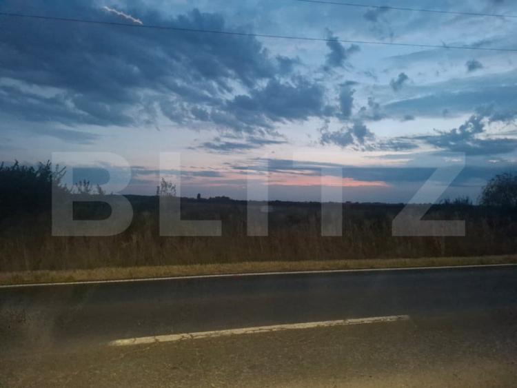 Teren de 10000 mp, în Bungetu