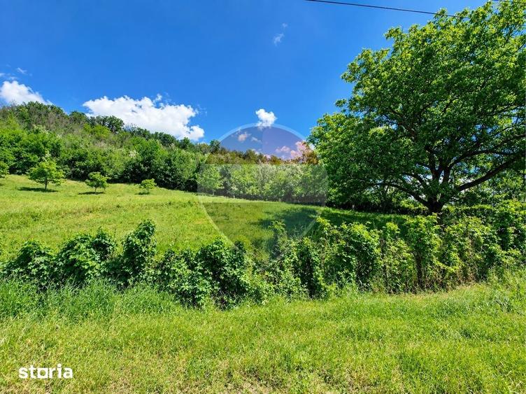 Teren de 2853 mp, în Urechești