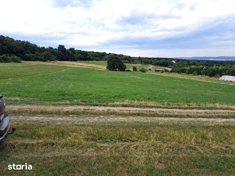 Oportunitate-Teren Extravilan 6200 mp cu vedere Panoramica-Tropinii No - 7