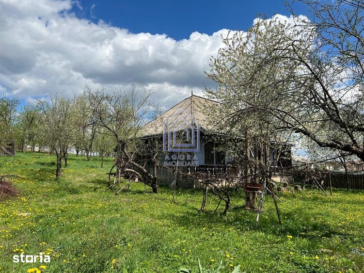 Teren de 4872 mp, în Forăști