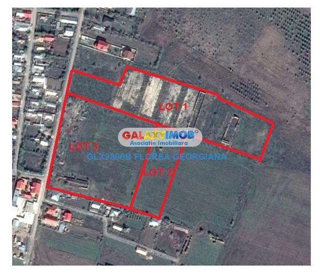 Teren Construcții intravilan de 49000 mp, în Bălăceanca