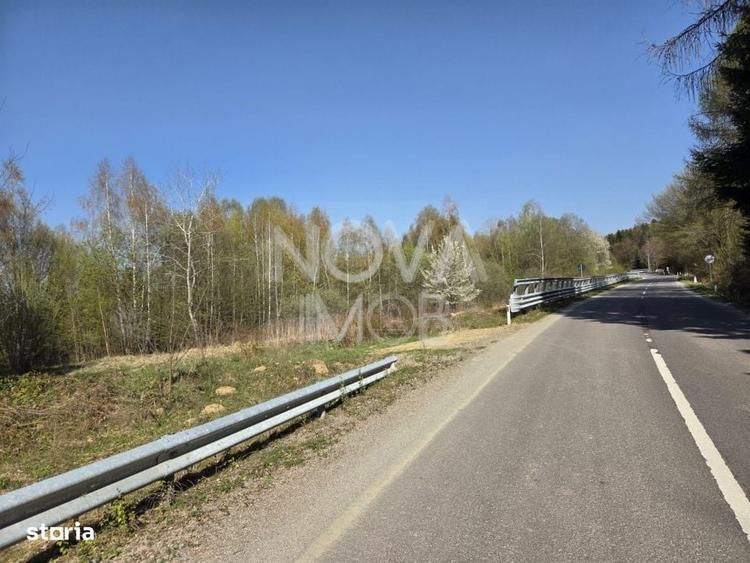 Teren intravilan de vanzare - Vistisoara - 7