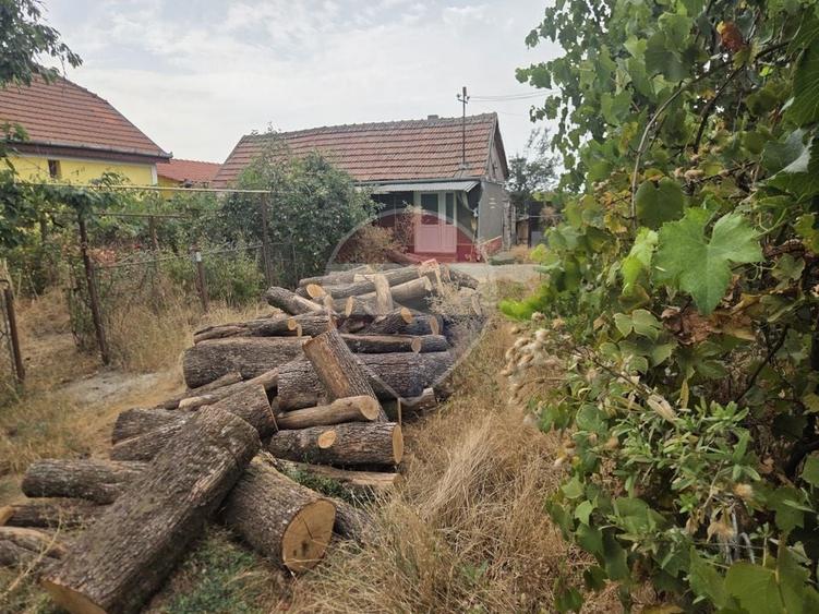 Casă individuală cu 4 camere cu Teren 3196 Mp în Mădăras