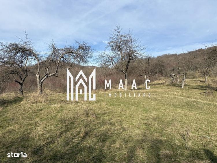 Spațiu comercial, în Sud