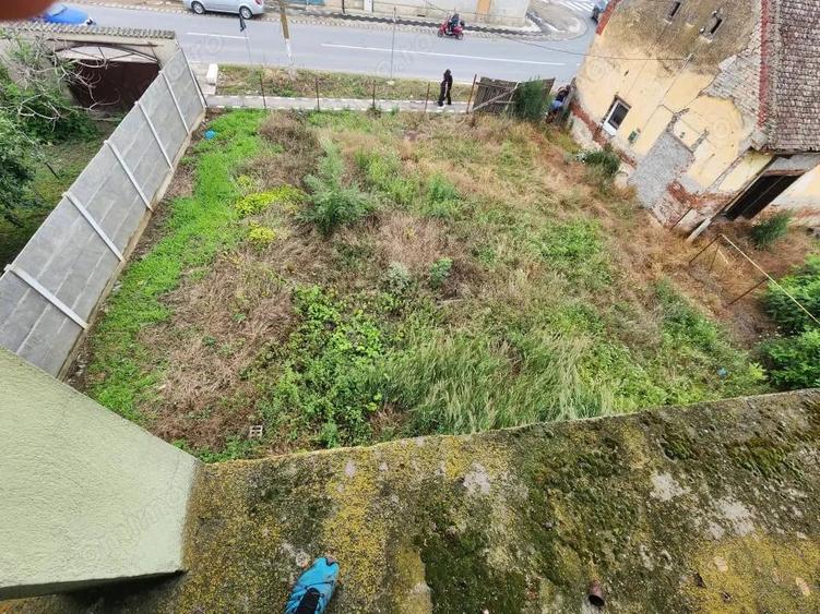 Casă cu Teren 5500 Mp în Peciu Nou
