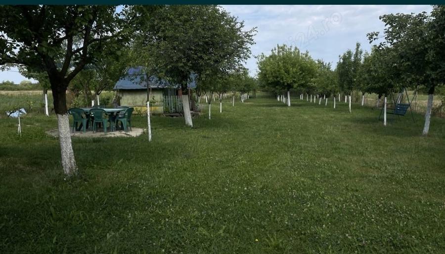 Teren de 10000 mp, în Pișchia