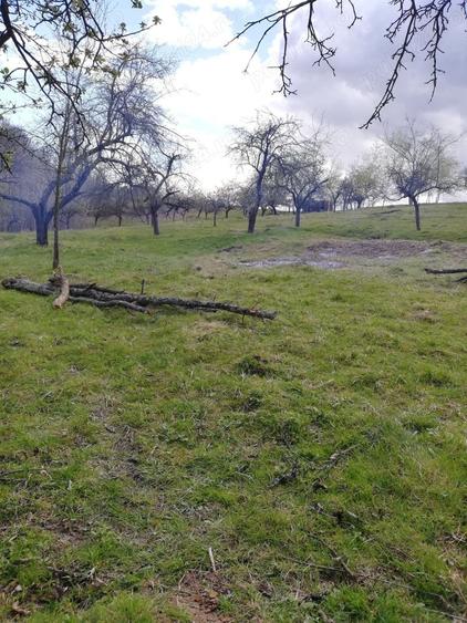 Teren de 18813 mp, în Central