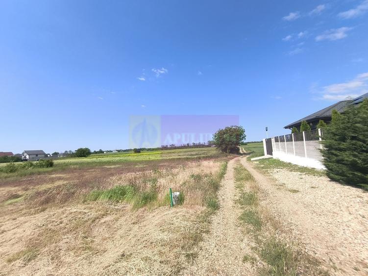 Teren Construcții intravilan de 1167 mp, în 1 Decembrie