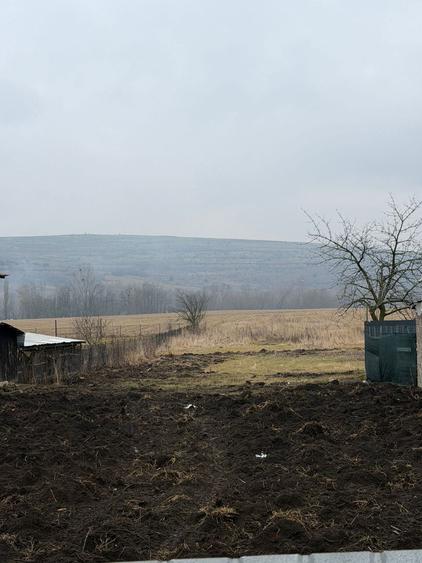 Teren de 3000 mp, în Petricani