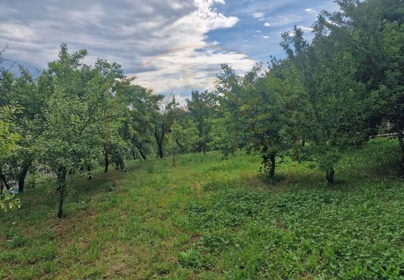 Teren Construcții intravilan de 1400 mp, în Albota