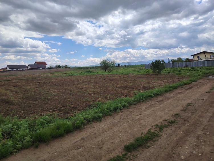 Teren de 639 mp, în Hărman