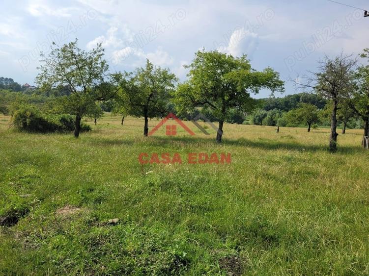 Casă cu Teren 1490 Mp în Voila