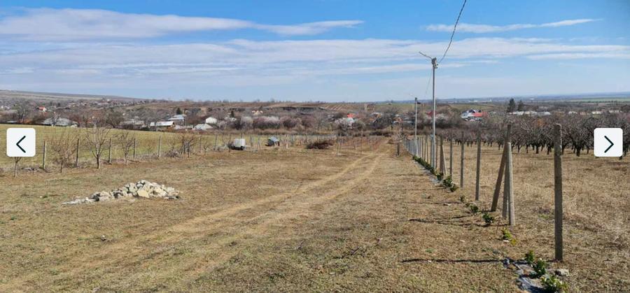 Teren Construcții intravilan de 3800 mp, în Gura Vadului