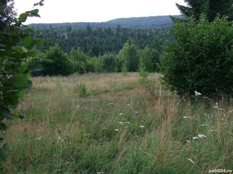 Teren de 34500 mp, în Băile Chirui