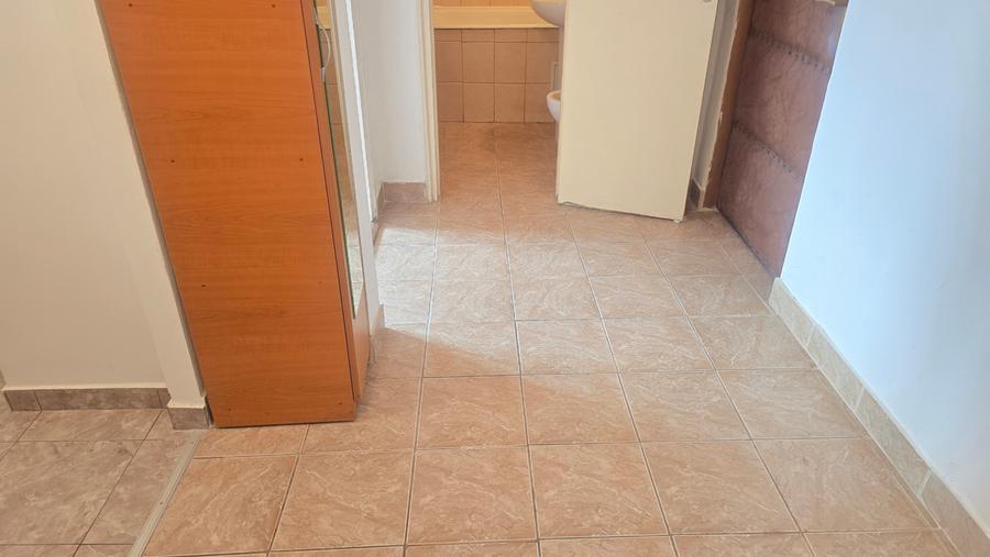 Apartament cu 2 camere decomandat în Bejan