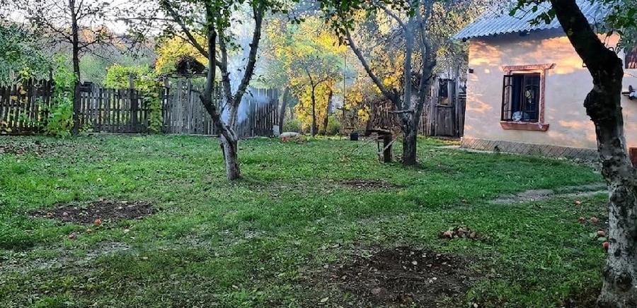 Casă cu Teren 2639 Mp în Bârla