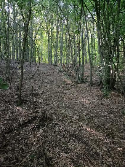 Teren de 844 mp, în Sălătrucel