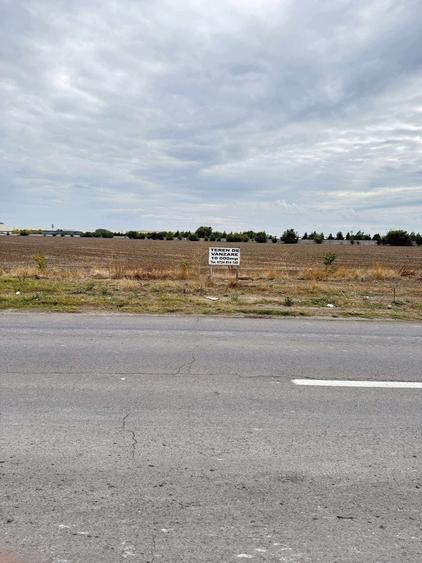 Teren de 10000 mp, în Nord