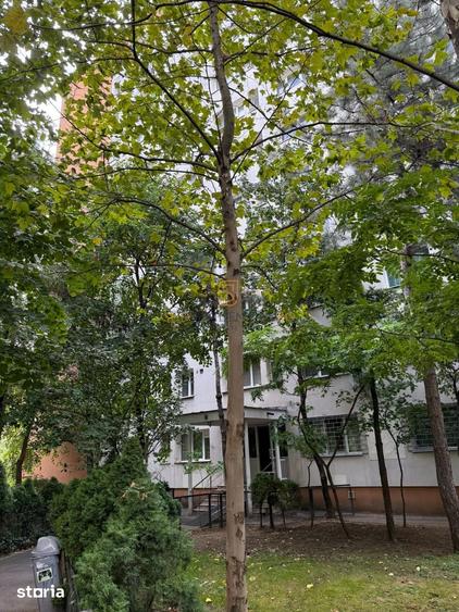 Apartament cu 3 camere, mobilat în Berceni