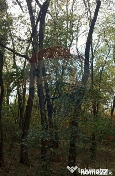 Teren în Sântimreu
