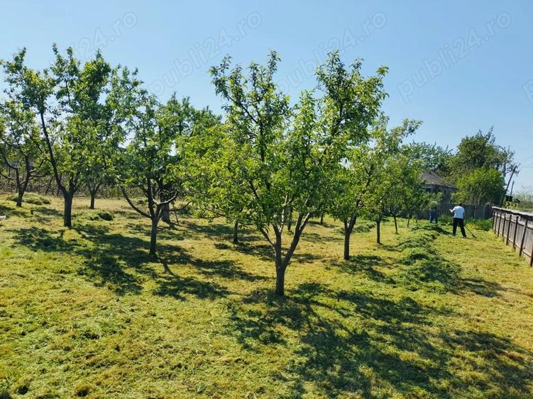 Casă cu 4 camere cu Teren 5125 Mp în Măcărești