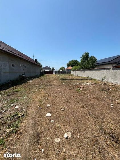 Teren de 1049 mp, în Curtișoara