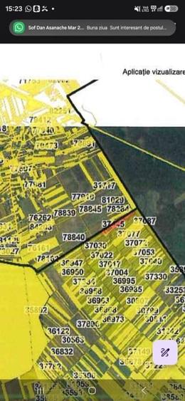 Teren Construcții intravilan de 10000 mp, în Săbăreni