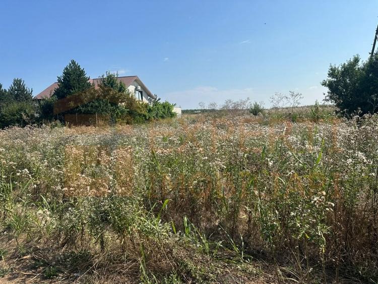 Teren Construcții intravilan de 420 mp, în Costinești