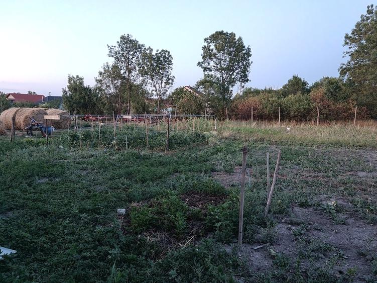 Casă cu 4 camere cu Teren 335 Mp în Central