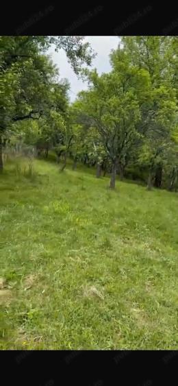 Teren de 2050 mp, în Bărbătești